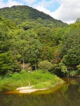 🌳 효고 현립 가부토야마 삼림공원 (효고켄리쓰 가부토야마 신린코엔) 이미지 8